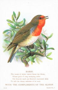 Robin dalda şarkı söylüyor, Noel Kartı by English School