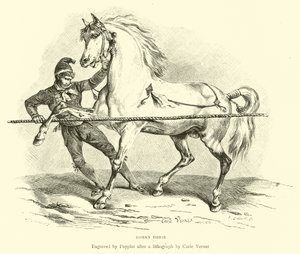 Roma Atı by English School