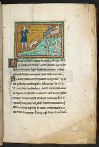 Kraliyet 12 F.XIII, f.20 Köpekleri olan, keçi peşinde koşan bir avcı veya çiftçi.  Bestiary (ff. 3-141), Lapidary (ff. 141v-149)  13. yüzyılın 2. çeyreği by English School
