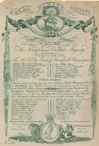 Kraliyet İnsani Derneği by English School