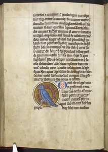 Royal MS 12 C XIX f.50v, Hoopoe, 