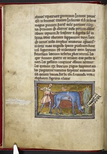 Royal MS 12 C XIX, f.7v Antilop, 