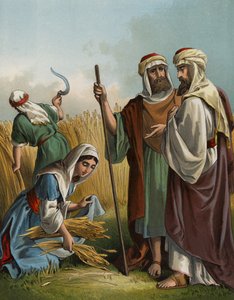 Ruth, Boaz (chromolitho) tarlasında toplanıyor by English School
