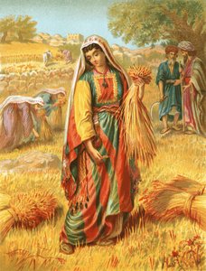 Ruth Mısır Tarlasında by English School
