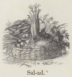 Salata (gravür) by English School