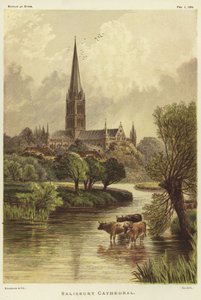 Salisbury