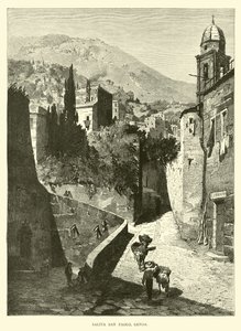 Ascent San Paolo, Cenova by English School