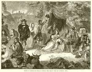 Highgate Fields