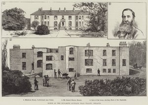 Tralee, İrlanda yakınlarındaki Dinamit Öfkesi sahnesi (gravür) by English School