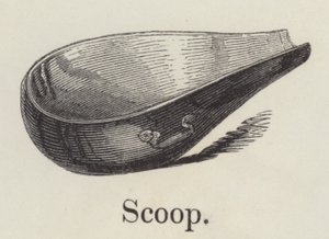 Kepçe (gravür) by English School