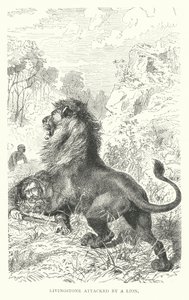 İskoç misyoner David Livingstone, Afrika