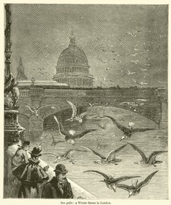 Sea-gulls, a Winter Scene in London (gravür) by English School