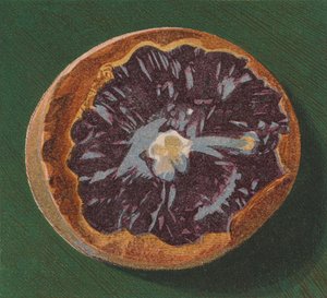 Deniz kenarı çakıl taşı (renkli lito) by English School