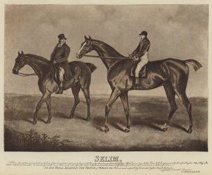 Selim (lito) by English School