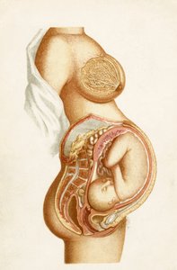 1889