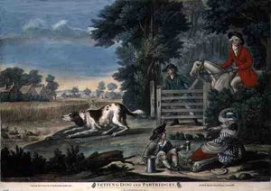 Ayar Köpek ve Keklikler, pub. Carington Bowles tarafından (fl.1744-93) by English School