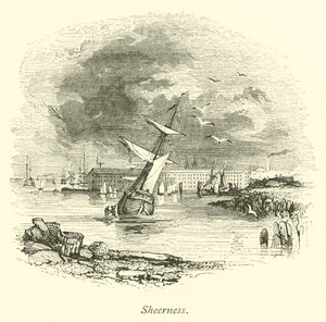 şeffaflık by English School