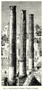 Kabuk İşaretli Sütunlar, Serapis Tapınağı (gravür) by English School