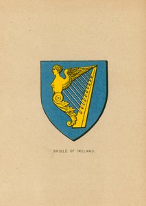 İrlanda Kalkanı by English School