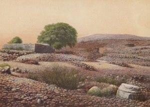 Shiloh (renkli lito) by English School