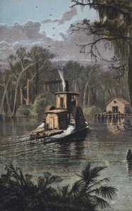Gümüş Bahar, Florida by English School