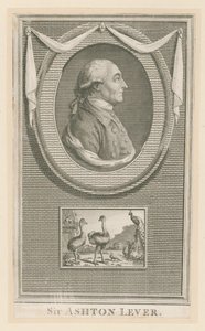 Sör Ashton Kol by English School