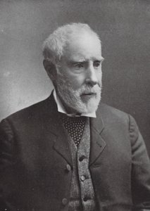 Sir George Grey (b/w fotoğraf) by English School