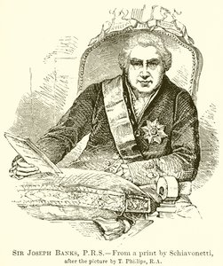Sir Joseph Banks, P.R.S. by English School