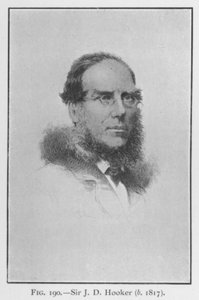 Sir Joseph Dalton Hooker (1817-1911), portre (taş) by English School