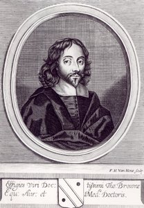 Sir Thomas Browne (1605-82), Frederick Hendrick van Hove (c.1628-98) tarafından oyulmuş by English School
