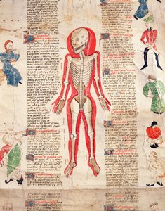 John Ardene tarafından De arte phisicali e de cirugia