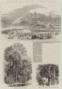 Madagaskar