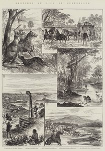 Queensland