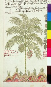 Sloane 4013 f.5v 