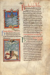 Sloane Bayan 1975 fol.48 Herb Bazilikası by English School