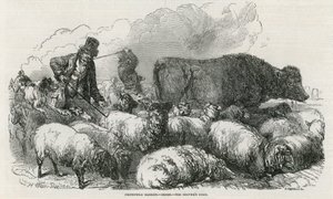 Smithfield Pazarı