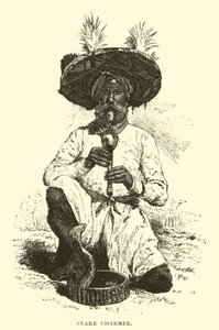 yılan büyücüsü by English School