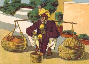 Yılan oynatıcısı, Hindistan (renkli lito) by English School