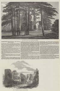 Somersetshire Arkeoloji ve Doğa Tarihi Derneği (gravür) by English School