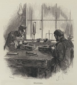 bölme by English School
