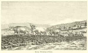 Bahar, Fransa