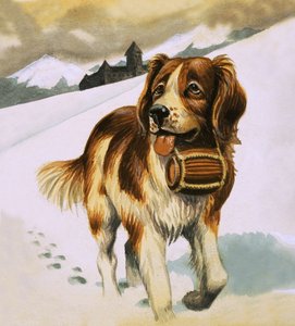 St Bernard