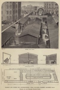 Costermongers için Ahırlar ve Mağazalar, Columbia Market, Hackney Road yakınında, Barones Burdett-Coutts için dikilmiş (gravür) by English School