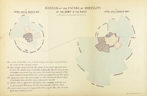 Florence Nightingale tarafından, Nisan 1854 - Mart 1855 ve Nisan 1855 - Ma, Kırım Savaşı sırasında İngiliz ordusunda bir ölüm nedeni olarak hastalığın baskınlığını göstermek için icat edilen istatistiksel tablo by English School