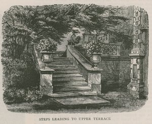 Üst terasa çıkan merdivenler, Holland House by English School