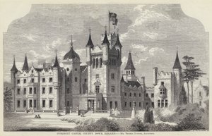 Stormont Kalesi, County Down, İrlanda (gravür) by English School