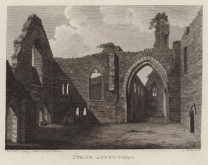 Strade Abbey, Mayo Kontluğu, İrlanda by English School