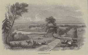 Strathfieldsay by English School