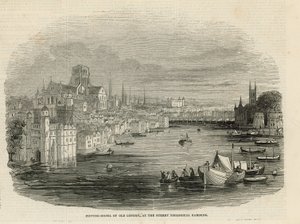 Surrey Hayvanat Bahçeleri by English School