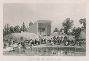 Surrey Hayvanat Bahçeleri by English School